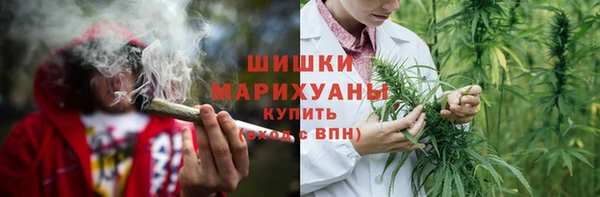 Альфа ПВП Няндома