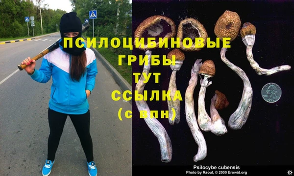 Альфа ПВП Няндома