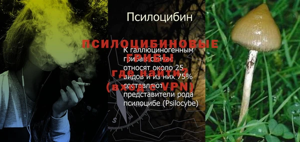трава Нягань