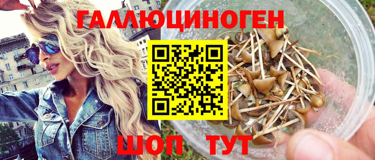 Псилоцибиновые грибы мухоморы  Галлюциногенные грибы Psilocybine cubensis  Вход с VPN  Черемхово 